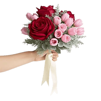 Delicate Petal Cascade