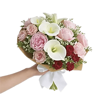 Elegant Calla Lilies