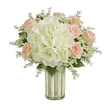 Ivory Blossom Radiance