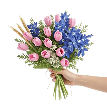 Blossom Petal Serenity