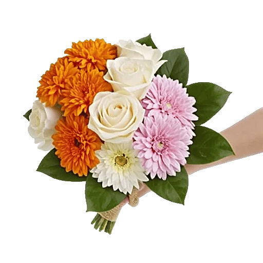 Vibrant Orange Delight