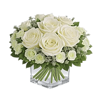 Ivory Blossom Radiance