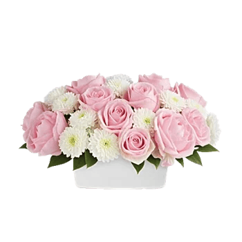 Delicate Petal Cascade