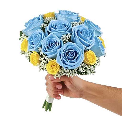 Elegant Blue Roses
