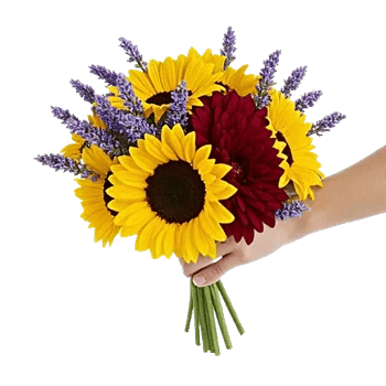 Radiant Bloom Cascade