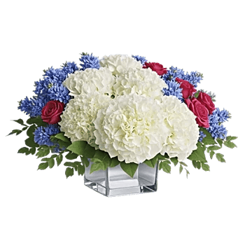 Sapphire Bloom Whisper