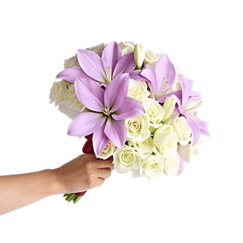 Elegant Calla Lilies