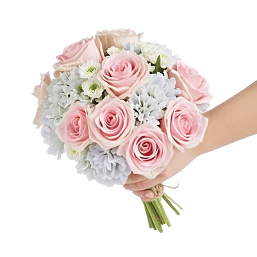 Pastel Pink Roses