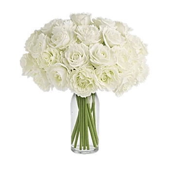 Delicate Petal Cascade