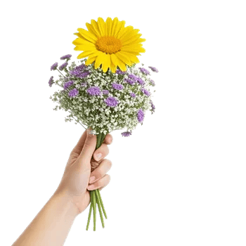 Enchanting Daisy Garden