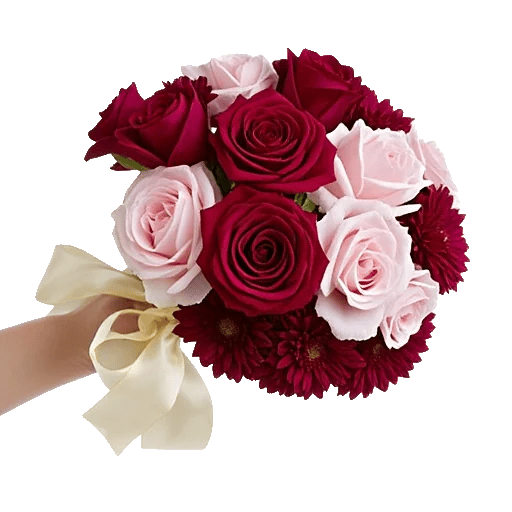 Crimson Rose Elegance