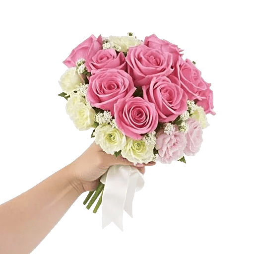 Pastel Pink Roses