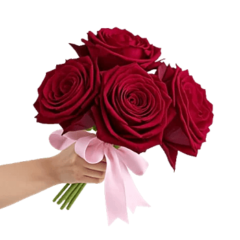 Crimson Rose Elegance