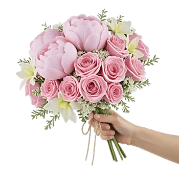 Peony Petal Harmony
