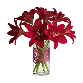 Crimson Lily Glow