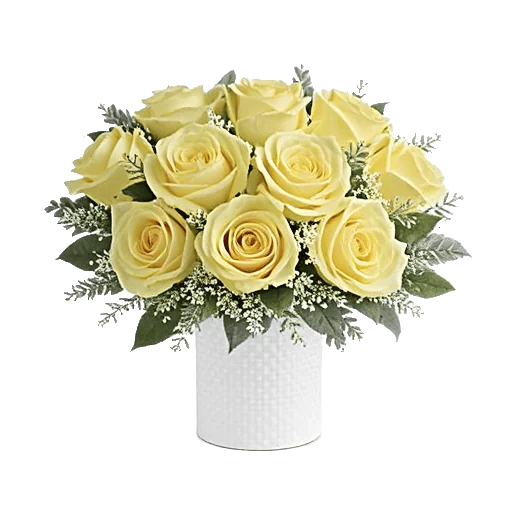 Minimalist White Orchids