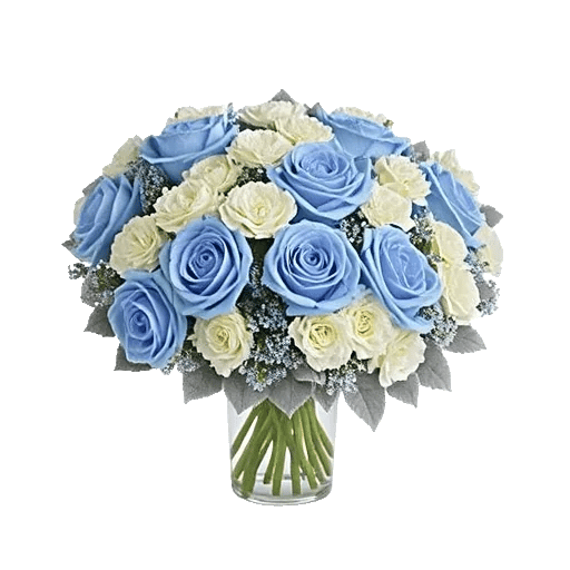 Elegant Blue Roses