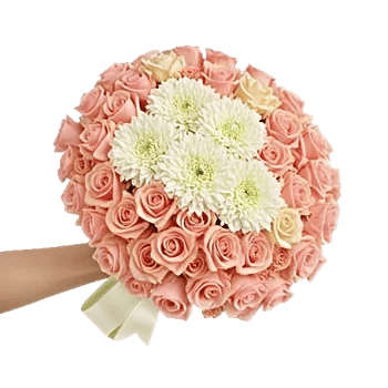 Petal Grace Harmony