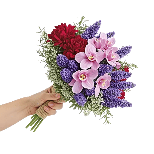 Petal Grace Harmony