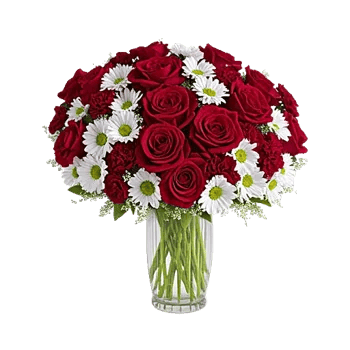 Crimson Blossom Harmony