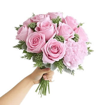 Pastel Pink Roses