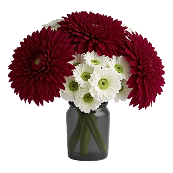 Crimson Blossom Harmony