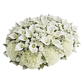 Ivory Garden Grace