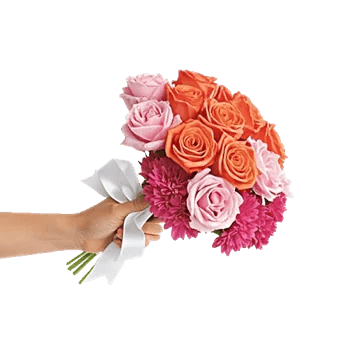 Petal Radiance Bliss