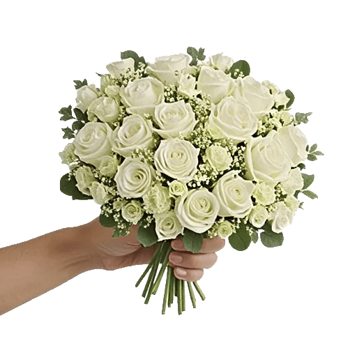 Petal Softness Display
