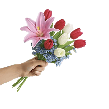 Blossom Harmony Display