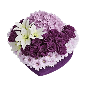 Lavender Bloom Grace