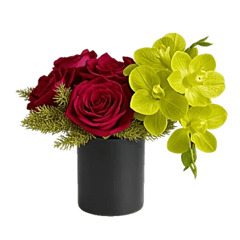 Crimson Blossom Harmony