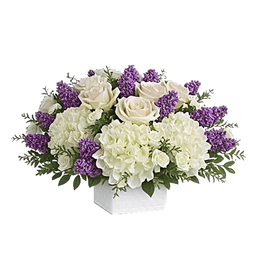 Serene Petal Harmony