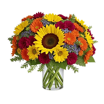 Radiant Bloom Cascade