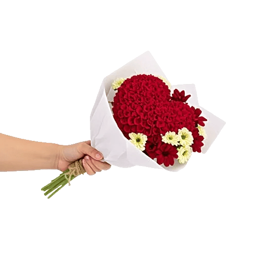 Crimson Rose Elegance