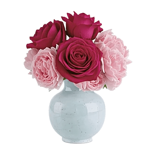 Crimson Rose Elegance