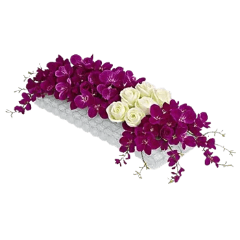 Orchid Bloom Cascade