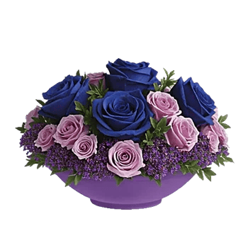 Elegant Blue Roses