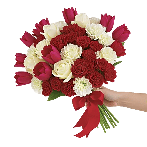 Scarlet Tulip Splendor