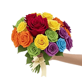 Radiant Rose Symphony