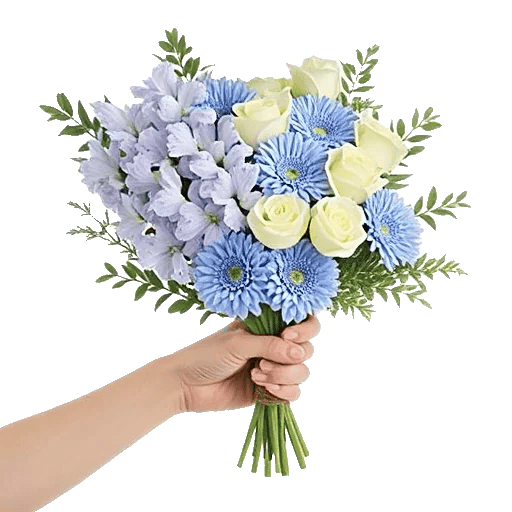 Serenity Blossom Grace