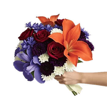 Elegant Calla Lilies