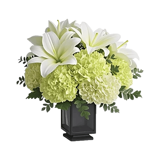 Ivory Blossom Radiance