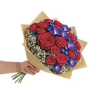 Crimson Rose Elegance