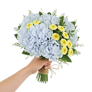 Sapphire Bloom Whisper
