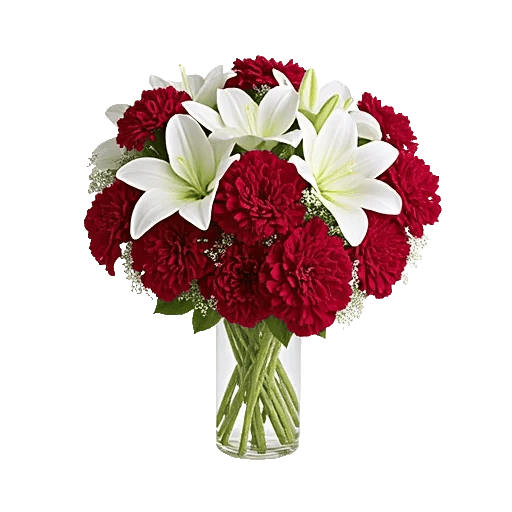 Crimson Blossom Harmony