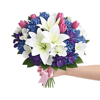 Serene Petal Harmony