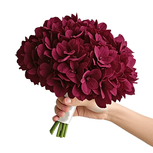 Serene Petal Harmony