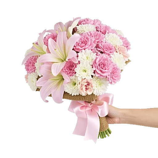 Blushing Rose Symphony