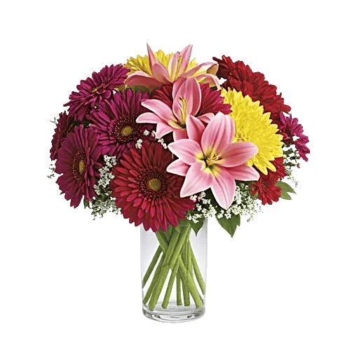 Petal Radiance Bliss